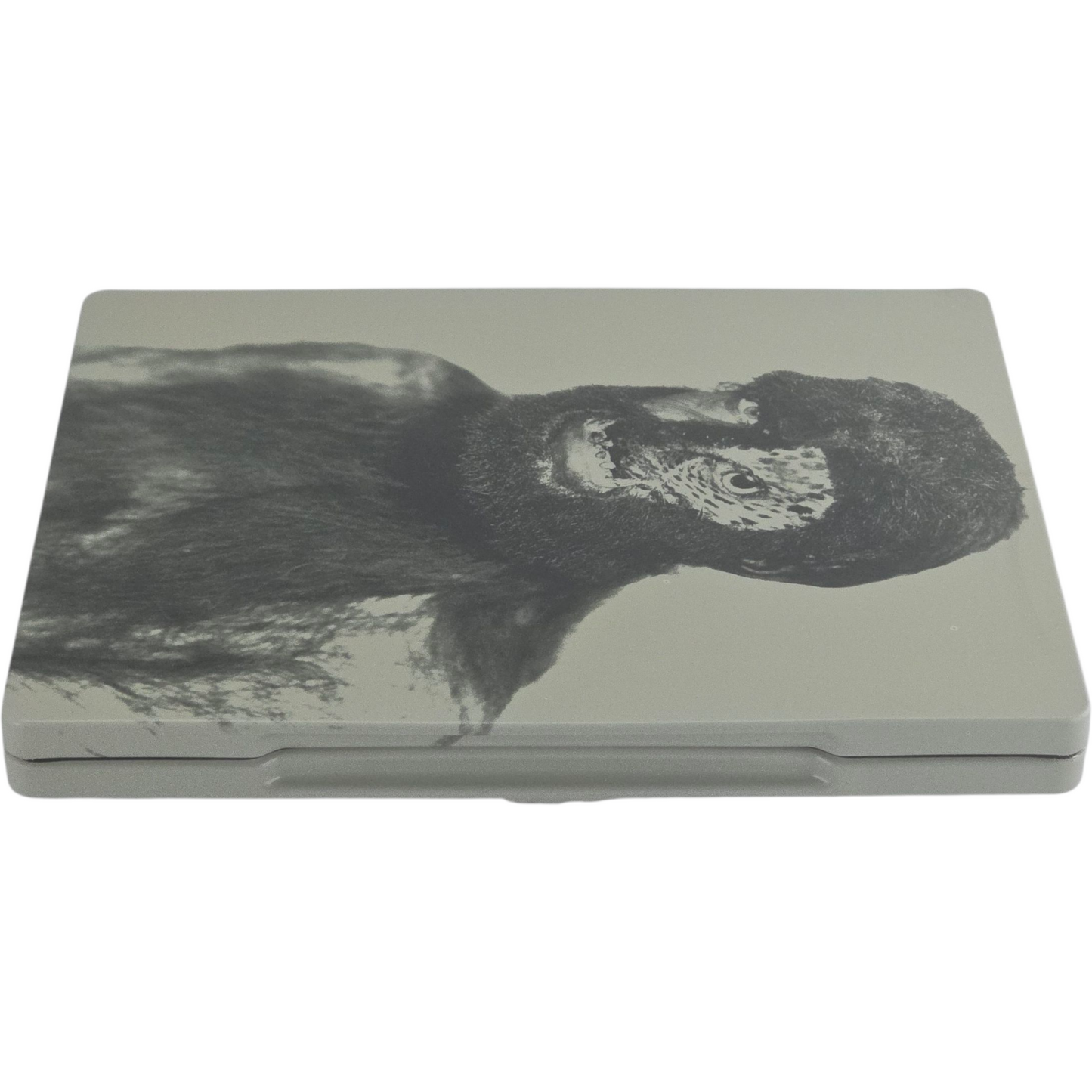 Island of Lost Souls Blu-ray + DVD SteelBook Zavvi Limitée Zone B