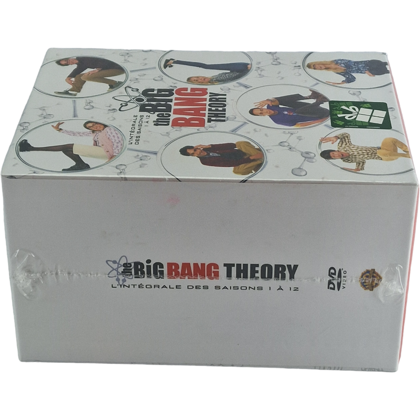 The Big Bang Theory DVD L'Intégrale-Saisons 1 à 12: Coffret 279 épisodes Zone B