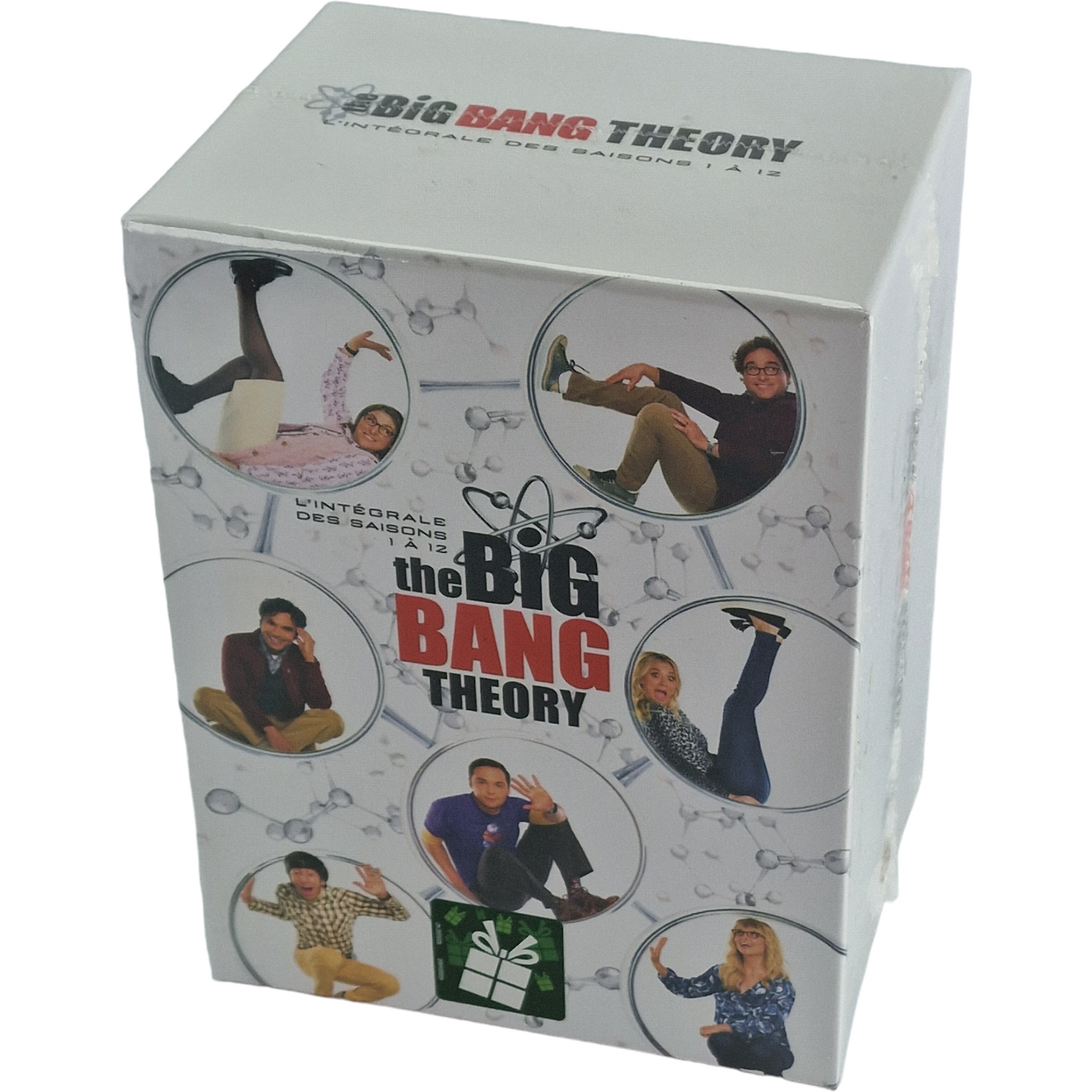 The Big Bang Theory DVD L'Intégrale-Saisons 1 à 12: Coffret 279 épisodes Zone B