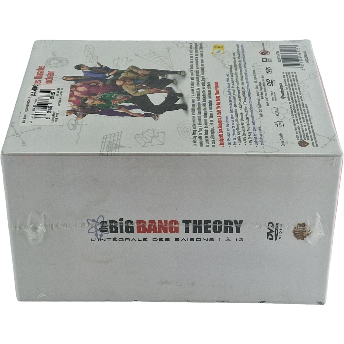 The Big Bang Theory DVD L'Intégrale-Saisons 1 à 12: Coffret 279 épisodes Zone B