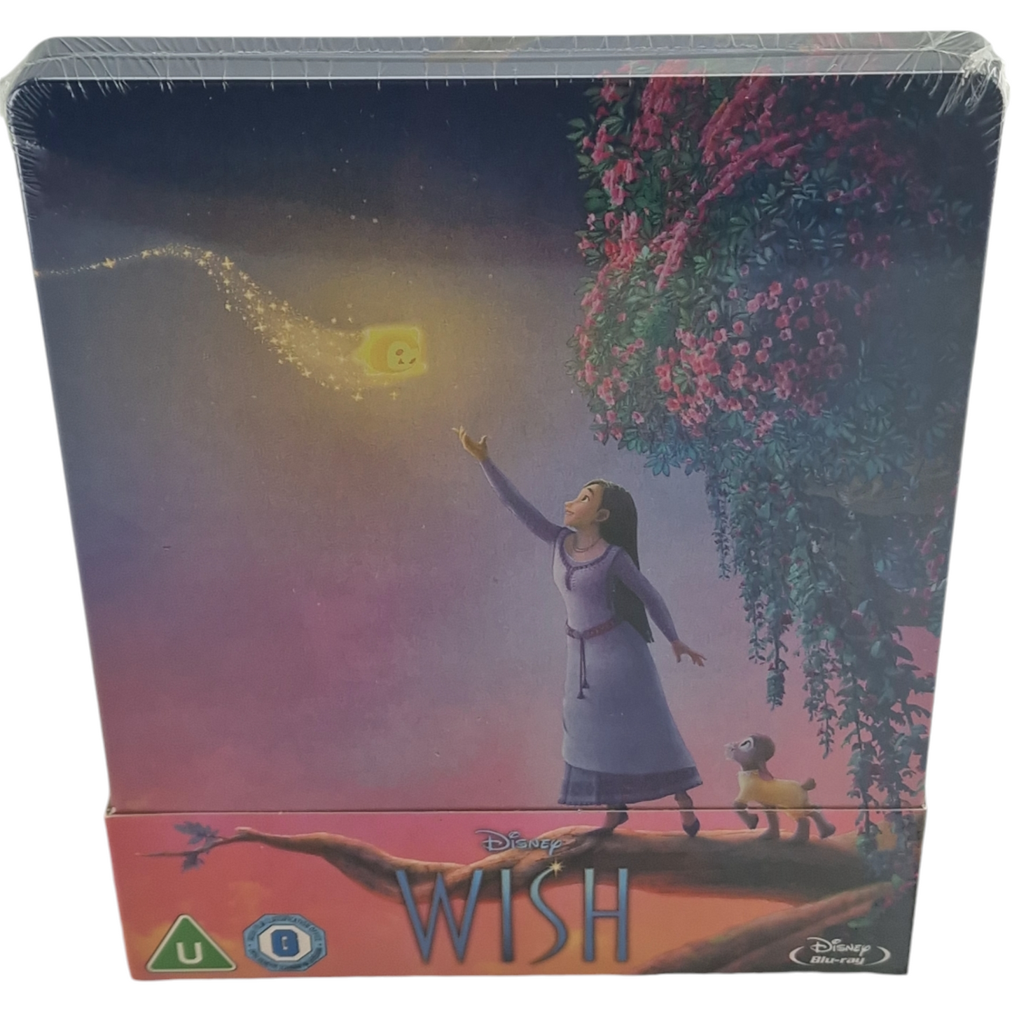 Wish  Blu-ray Steelbook Disney Buena Vista Ariana DeBose, Chris Pine 2023  B