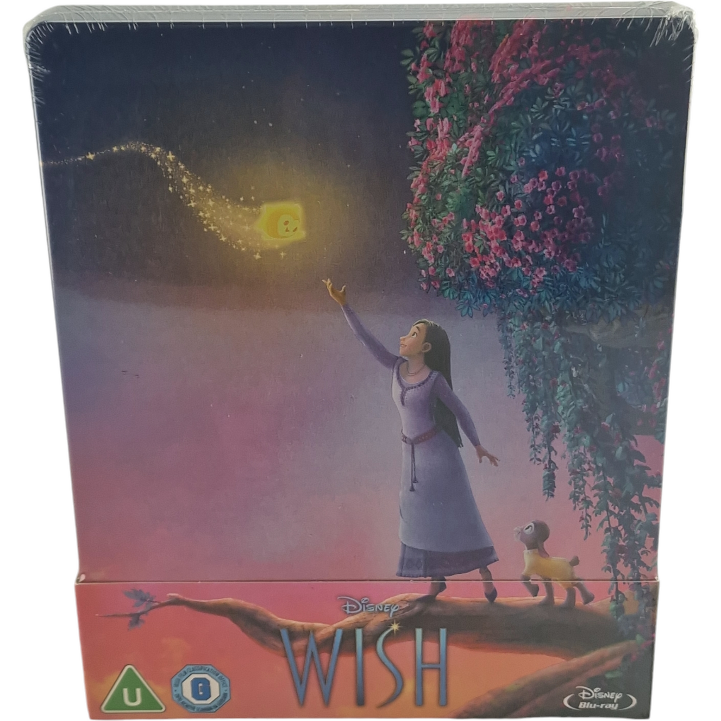 Wish  Blu-ray Steelbook Disney Buena Vista Ariana DeBose, Chris Pine 2023  B