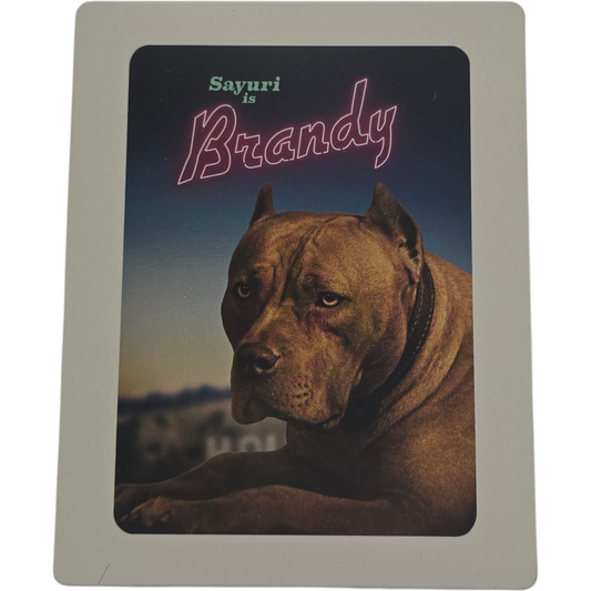 Il était une fois à Hollywood - SteelBook 4K Ultra HD + Blu-ray - Visuel 3
