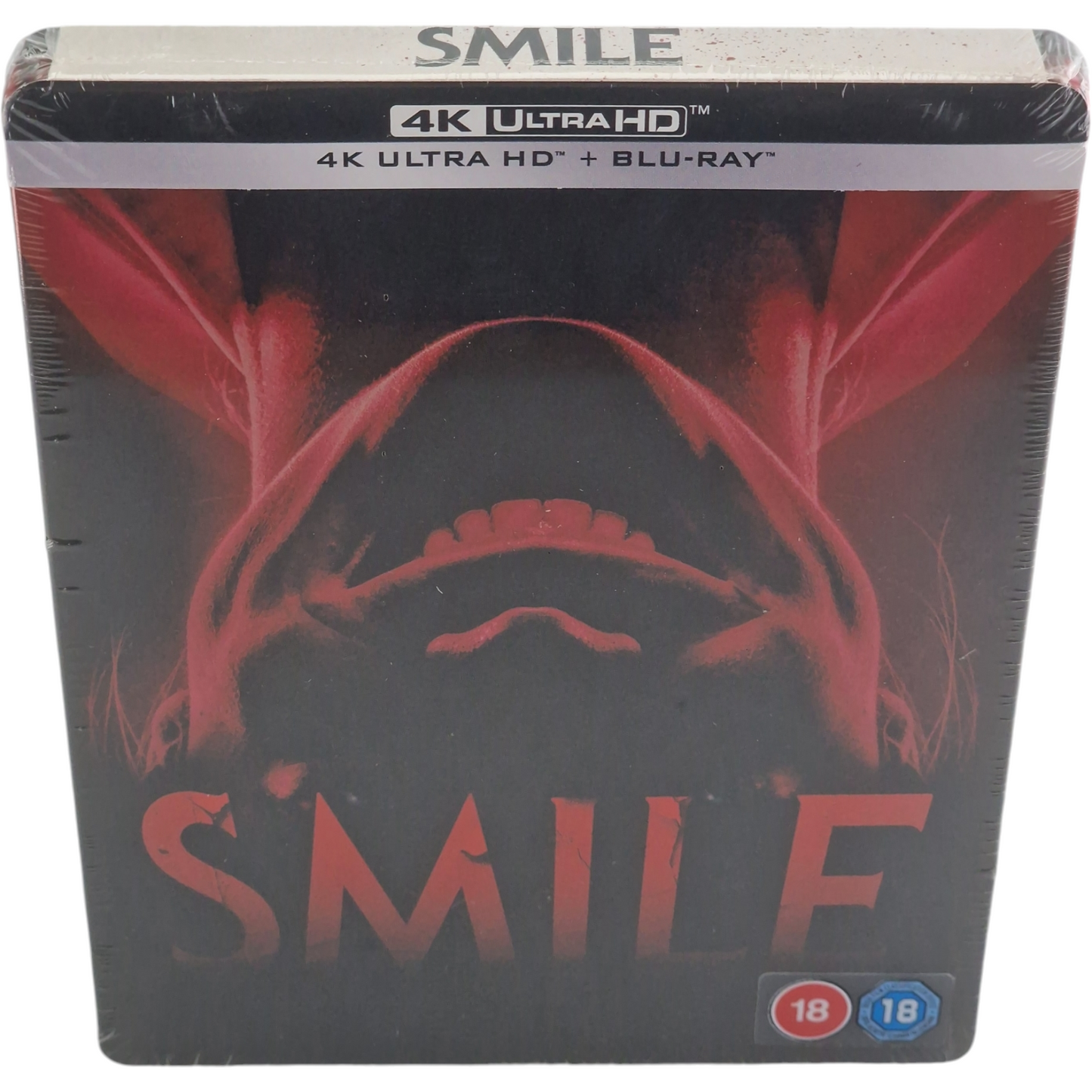 Smile SteelBook Édition Collector 4 K Ultra HD + Blu-ray  Parker Finn [-18] Zone Libre