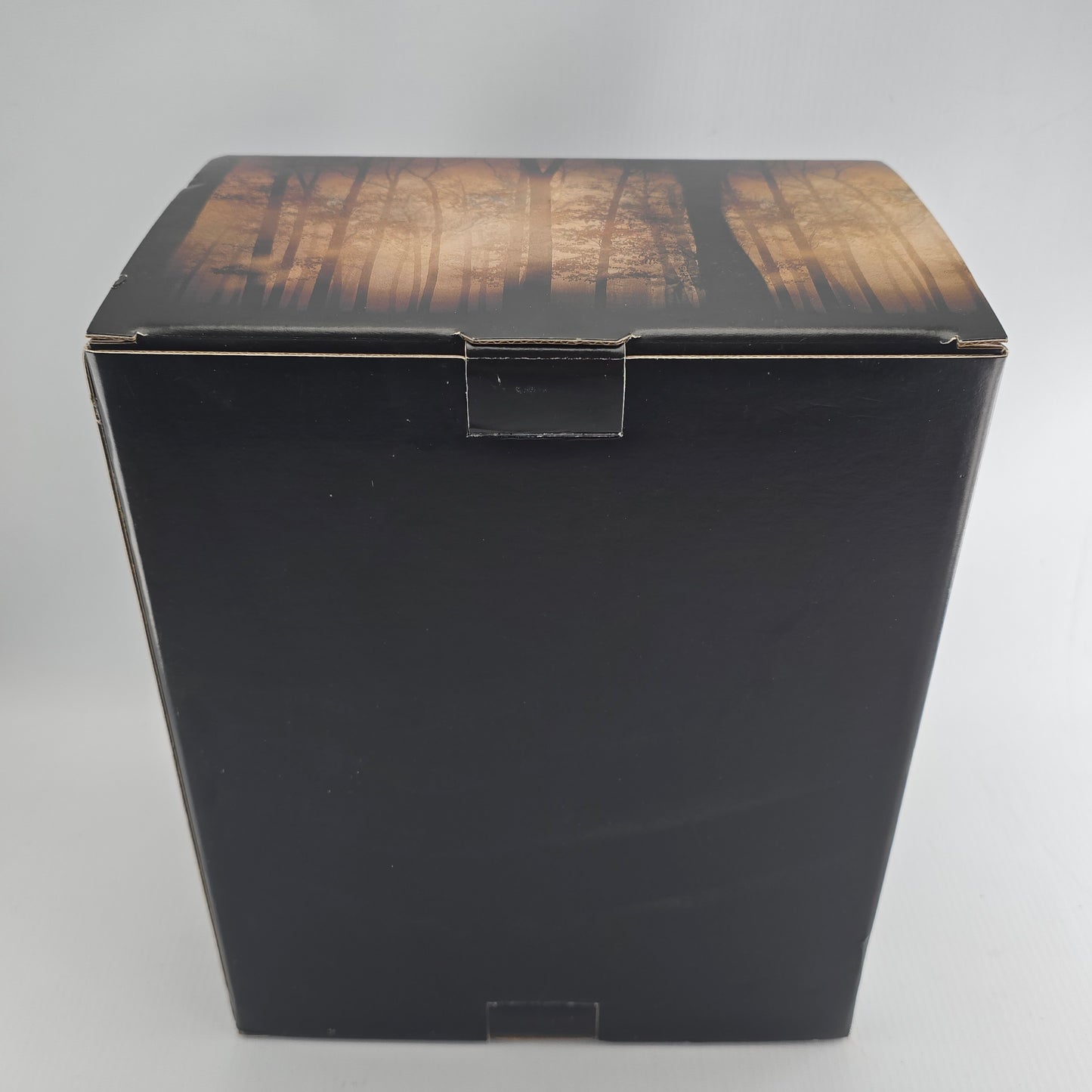 The Twilight Saga: New Moon Ltd Edt Numérotée. Memory Box & DVD  Zone 2