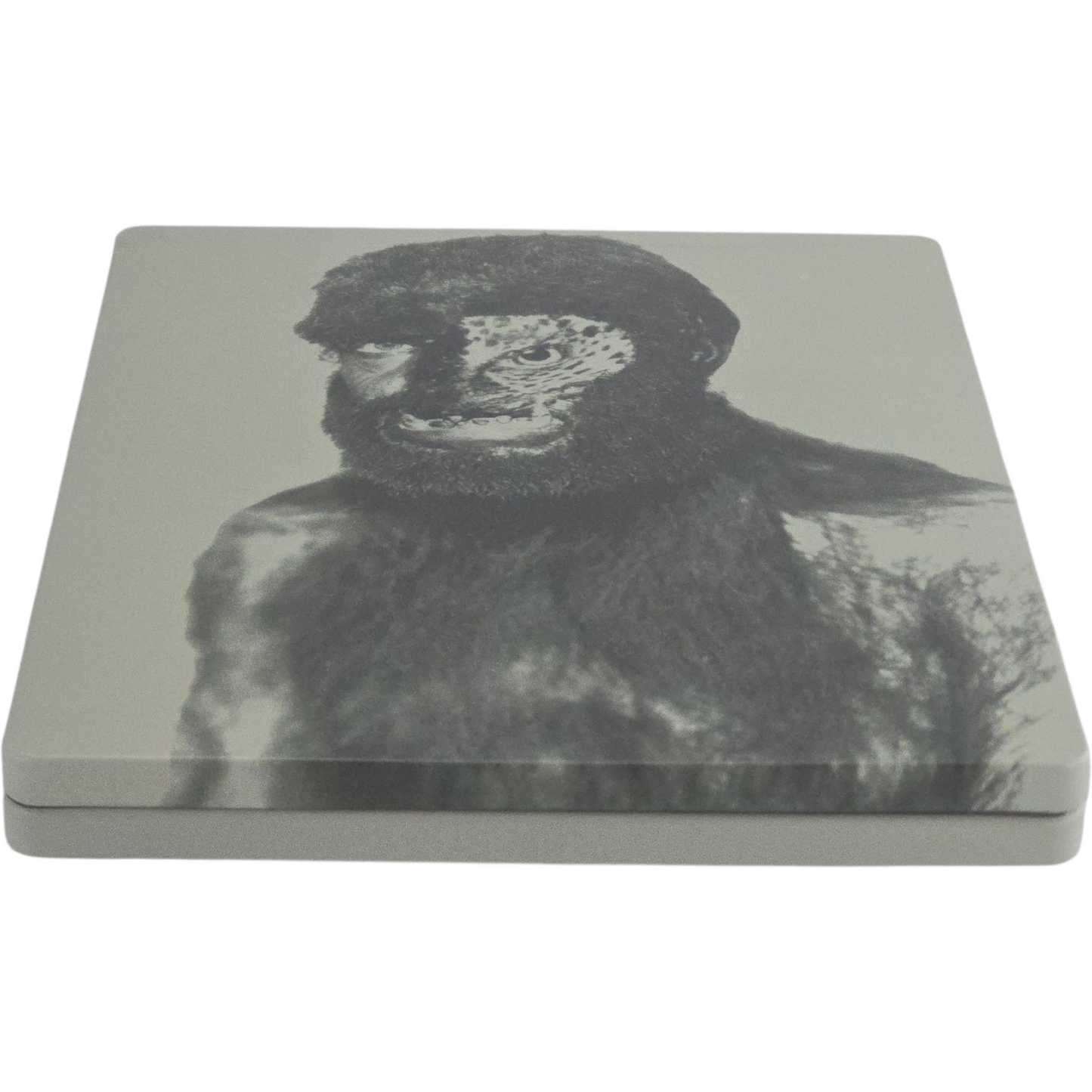 Island of Lost Souls Blu-ray + DVD SteelBook Zavvi Limitée Zone B