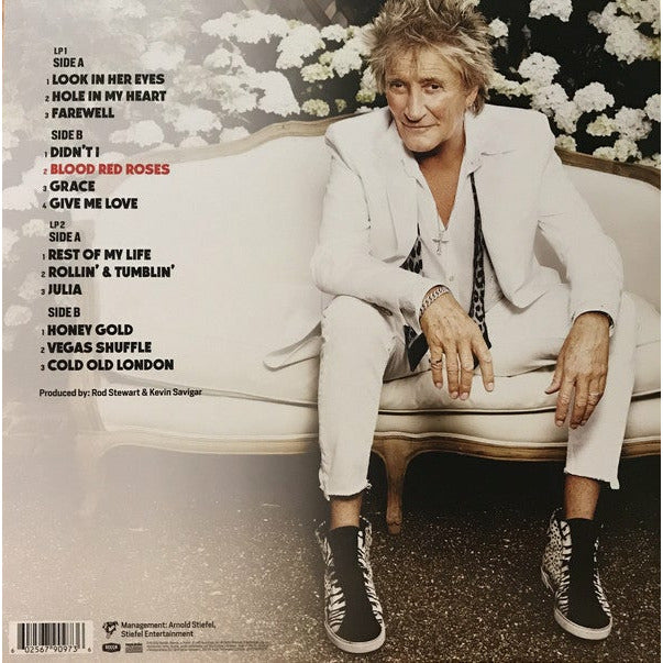 Rod Stewart – Blood Red Roses , 2 x Vinyle, LP, Album....